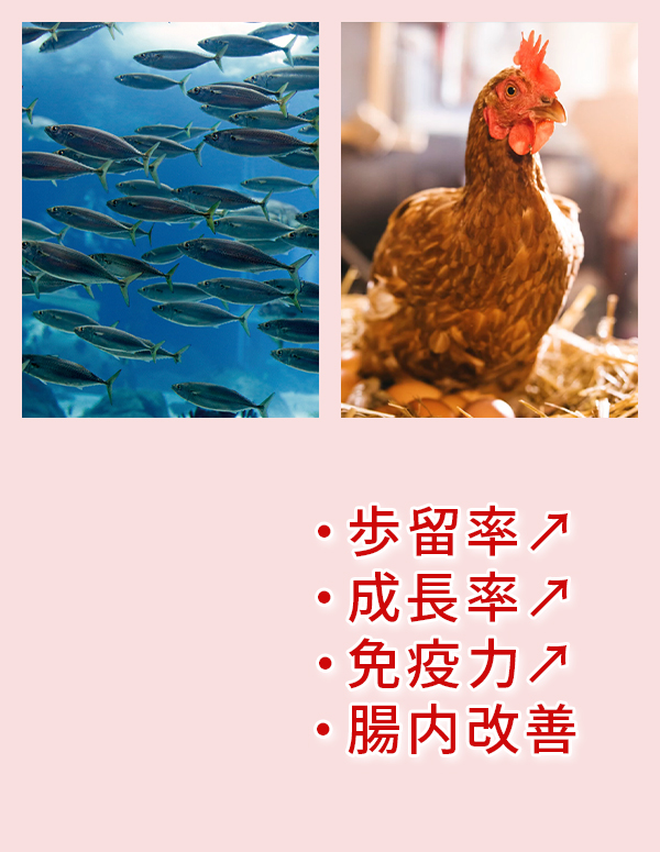 自社容器再検査場